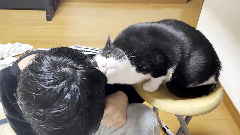 大好きな男の子へのスリスリが止まらなくなった猫さん まるで頭突きの応酬のような光景が面白い エウレカねこ部