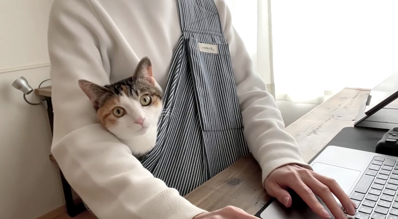 スリングと猫
