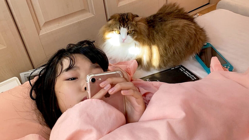 いつでも猫がそばにいる kaze_neko_title-1024x576.jpg