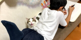 男の子に寄り添う猫