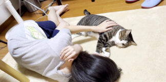 猫を撫でるお姉ちゃん