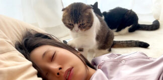 二度寝を許さない猫