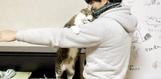 甘える猫