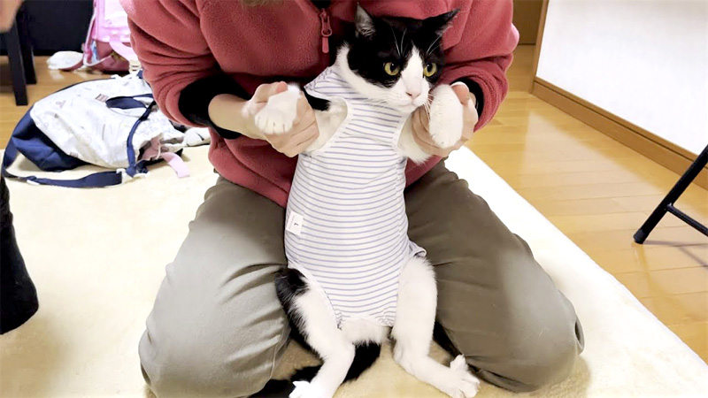 赤ちゃん の 服 に 猫 の セール 毛 が つく