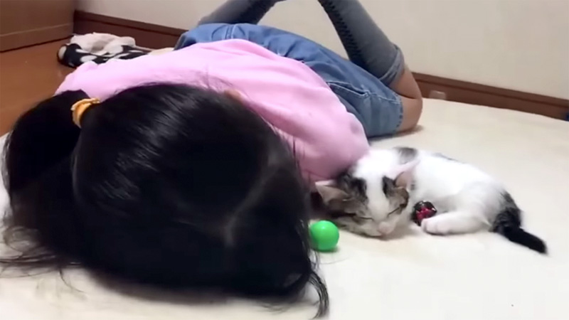 女の子と一緒に眠る子猫