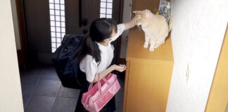 お姉ちゃんをお見送りする猫