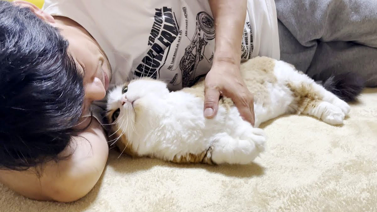 猫と添い寝するお父さん