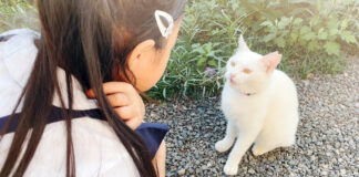 会話する猫と女の子