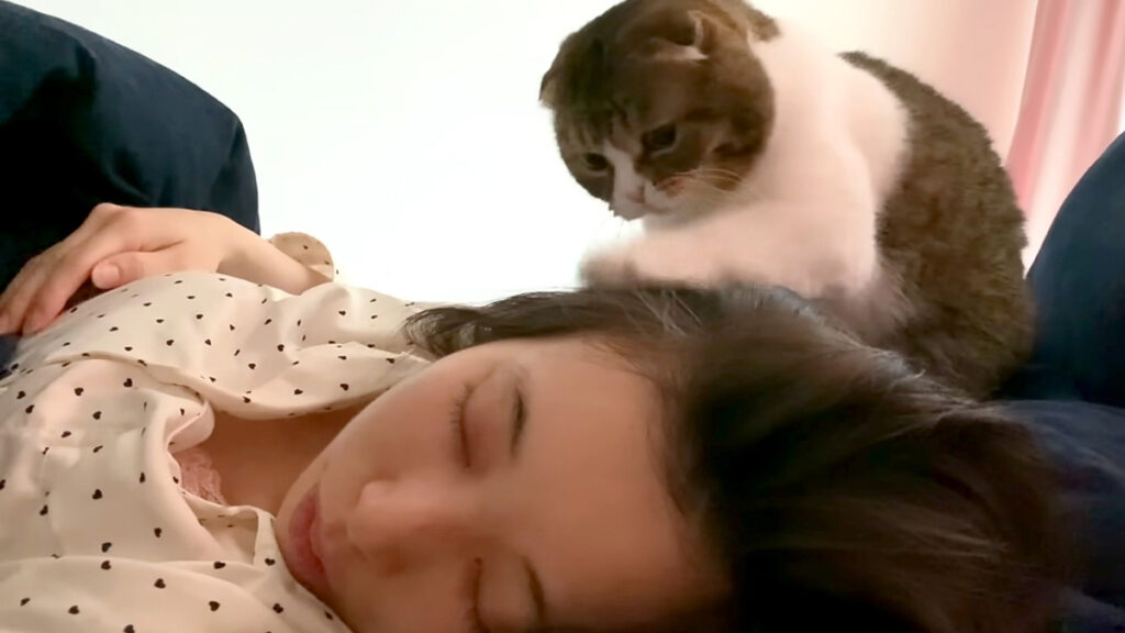 爆睡していたママを何とか起こすことに成功した猫さん。でもママが二度