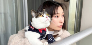 雪を見る猫