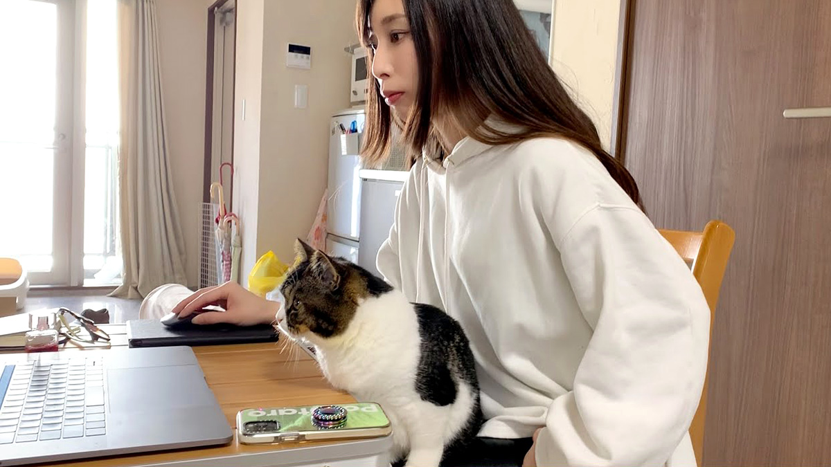 猫と一緒に仕事