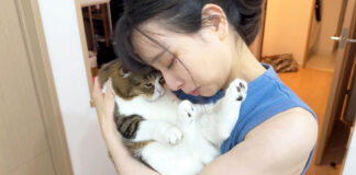 抱きしめられる猫