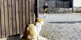 お姉ちゃんをお出迎えする猫