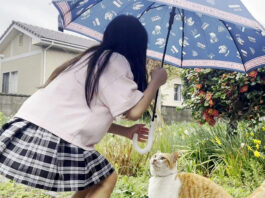 猫に傘を差し出す女の子