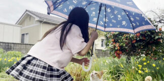 猫に傘を差し出す女の子