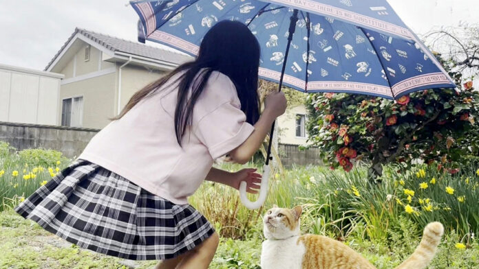 猫に傘を差し出す女の子