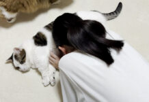 お腹を使わせてくれる猫