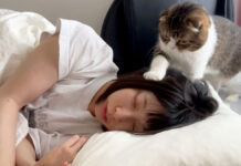 飼い主さんを起こそうと頑張る猫