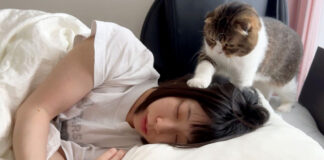 飼い主さんを起こそうと頑張る猫