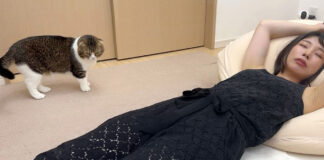 ママに起きて欲しい猫
