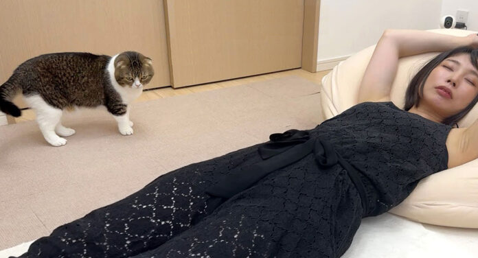 ママに起きて欲しい猫