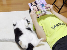 お兄ちゃんと一緒に漫画を読む猫