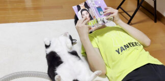 お兄ちゃんと一緒に漫画を読む猫