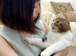 カミナリが怖い猫