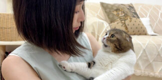 カミナリが怖い猫