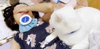 熱を出したお姉ちゃんを心配する猫