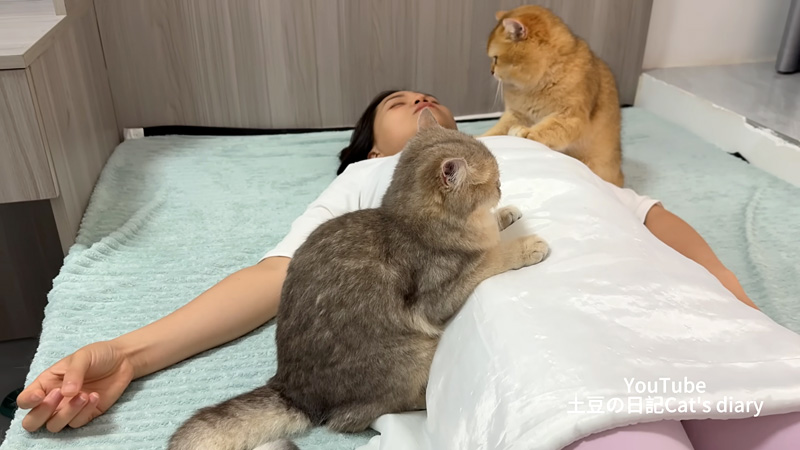 飼い主さんが死んだと勘違いした猫達