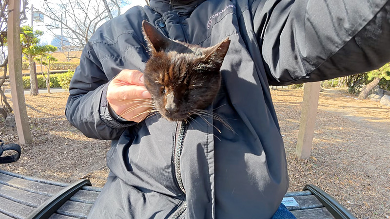 服の中に入って撫でられる猫