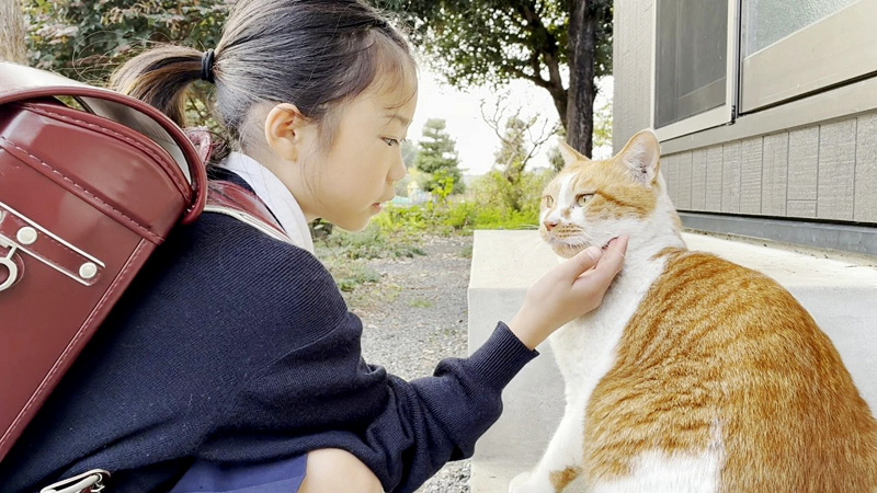 仲良しな女の子と猫