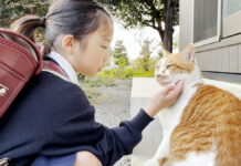 仲良しな女の子と猫