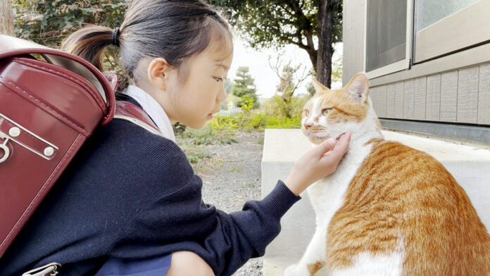 仲良しな女の子と猫