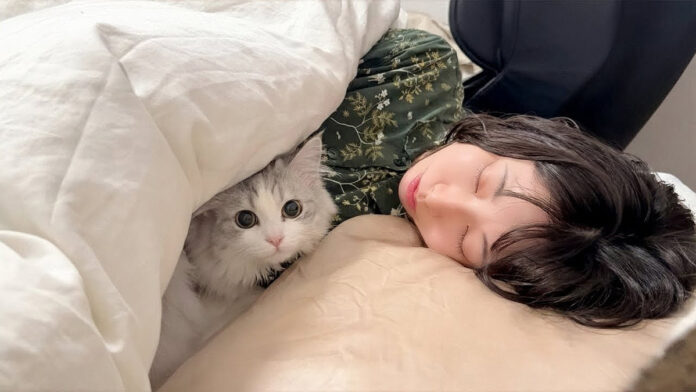 mamafuton_neko_title ママのベッドにこっそり入った子猫