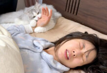 飼い主さんを噛んで起こす子猫