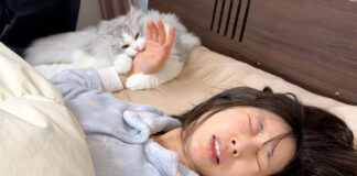 飼い主さんを噛んで起こす子猫