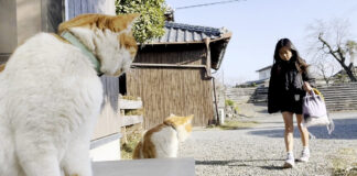 お姉ちゃんを出迎える猫達
