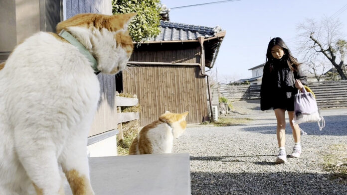 お姉ちゃんを出迎える猫達