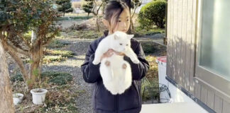 仲良しな女の子と猫