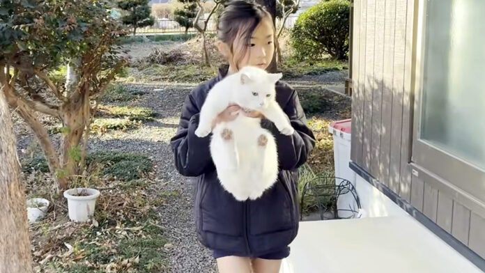 仲良しな女の子と猫