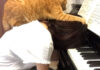 ピアノの練習中に乗ってくる猫