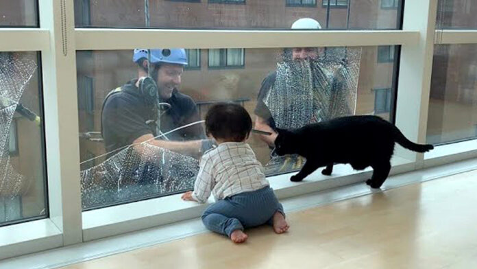 madofukiojisan_neko_title 窓拭きおじさんが気になる猫